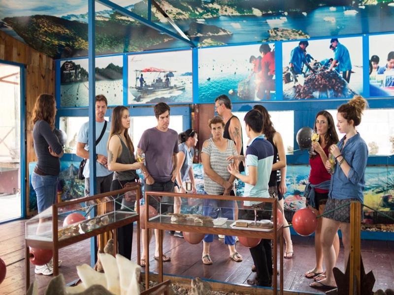 מלון הלונג Charm Boutique Cruise מראה חיצוני תמונה